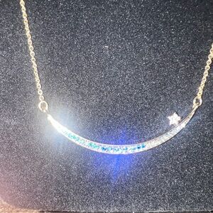 Elegant Blue and Silver Necklace and earrings with silicone earrings backs